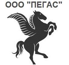 Ооо пегас. Предприятие ООО Пегас. ООО Пегас Москва. Пегас охрана.